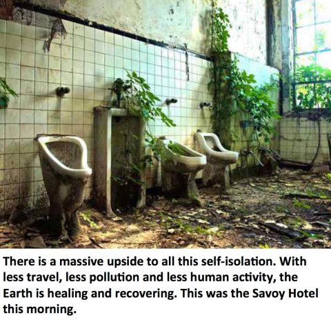 earth healing meme savoy hotel
